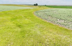 TBD 303 Ave, Presho, SD 57568