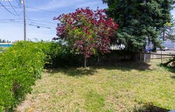 166 IOWA ST, Eugene, OR 97402