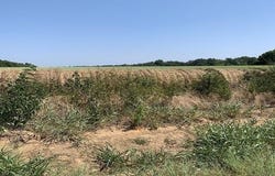 000 W Christopher Lane, Bullard, TX 75757