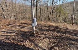 000 Bald Eagle Drive, Galena, MO 65656