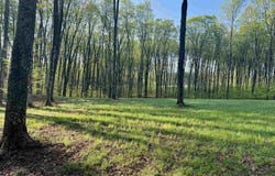 0002 S Bright Road, Maple City, MI 49664