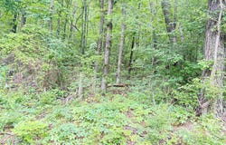 Lot 72 Holiday Shores Road, Scottsboro, AL 35769