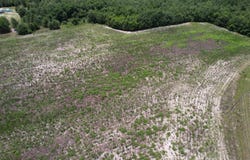 21.48 Acres - Harmony Hall Dr, Darlington, SC 29532