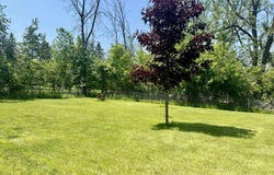 1604 HARRISON AVENUE, CHEBOYGAN, MI 49721