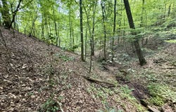79 River Overlook, Ellijay, GA 30540