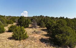 Mohawk Cir lot: 136, Walsenburg, CO 81089