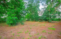 3104 S Main ST, Taylor, TX 76574