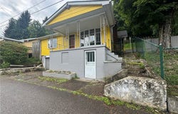 61 Laipple Street, Bridgeport, OH 43912