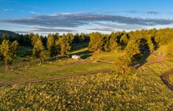 12511 CR 328, Westcliffe, CO 81252