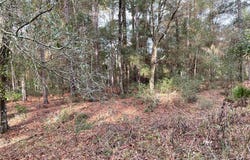 SW 152nd Avenue lot: 9, Ocala, FL 34481