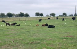 1440 FM 2434, Weimar, TX 78962