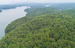 0 Deer Lane, Ellijay, GA 30549