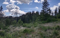 Ranch Rd, Loon Lake, WA 99148