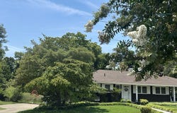 226 Susong Lane, Greeneville, TN 37743
