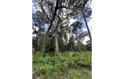 511 Borrell Blvd, St Marys, GA 31558