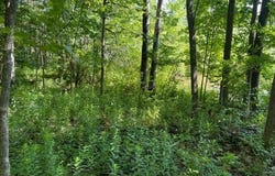 L9 State Route 162, Esperance, NY 12066