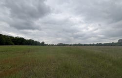 V/L 10a N Woodbridge Rd, White Cloud, MI 49349