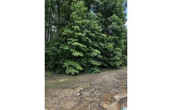 SANDY DRIVE, MCCALLA, AL 35111