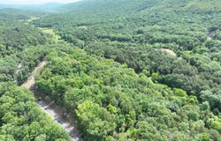 5.21 AC HAMILTON OAKS DRIVE, ROMNEY, WV 26757