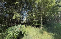 Tbd W Royal Road, Stanwood, MI 49346