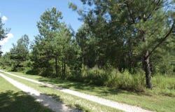 Orchard Lane, Monticello, FL 32344