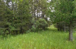 TBD US-2, Gould City, MI 49838