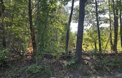 22.5 Acs Dream Lane, Palmyra, VA 22963