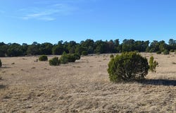 124 Tierra Del Dios Road, Rowe, NM 87567