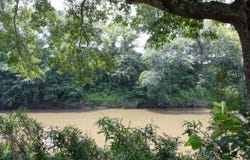 Hwy 298, Sims, AR 71969