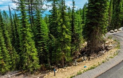 Lt 6 Blk 2 SNAG LINE ROAD, Sandpoint, ID 83864