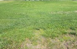 Hwy 66, Tell City, IN 47586