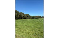 N Harbor Rd., Adams Center, NY 13606