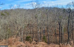 GAFIA LODGE ROAD, MIDDLETOWN, VA 22645