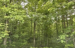 15 Acres RICHFIELD DRIVE, Arpin, WI 54410