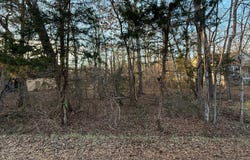 119 REPUBLIC Avenue, LOCUST GROVE, VA 22508