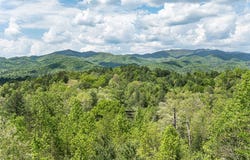 Marble, NC 28905