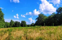 000 Old Gordon Road, Grandview, TN 37337