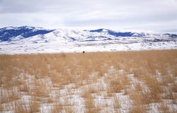 Trent Drive, Dillon, MT 59725