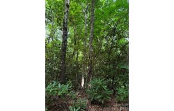 99999 NC 9 Highway, Black Mountain, NC 28711