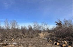 Grapevine, Tomah, WI 54660
