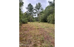 Lot A Swamp Road, Carthage, MS 39051