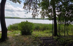 XXXXX Tall Timbers Road SW, Garfield, MN 56332