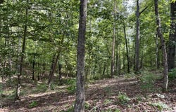 0 COUNTY ROAD 897, WEDOWEE, AL 36278