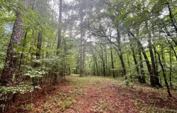 Highway 505, Lawrence, MS 39336