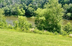 281 Old Sr 1801, Scotland Neck, NC 27874