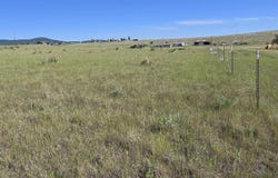 Lone Pine Road, Helena, MT 59602
