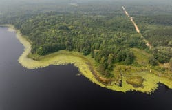 Turtle Lake Drive NW lot: 2, Walker, MN 56484