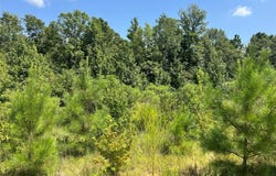 0 Ellis Jones Road, Bienville, LA 71008
