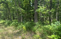Vl Cleveland Drive, Bitely, MI 49309