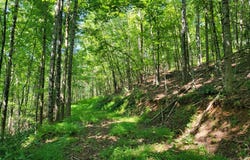 Tbd Riverwood Ln, Fries, VA 24330